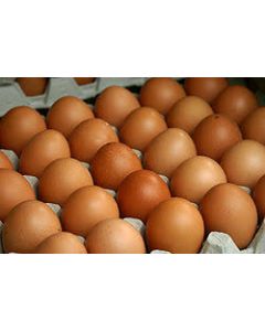 Eggs for human consumption produced by laying hens raised 