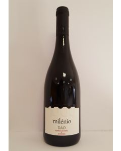 Milénio Red Wine DOC Dão 2013
