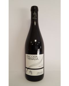 Encostas de Penalva Red Wine DOC Dão 2015